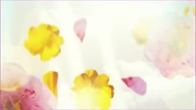 小清新三八妇女节温馨花朵图文照片模板视频的预览图